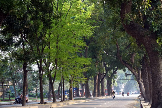 Hà Nội: Chất lượng không khí được cải thiện sau bão số 2