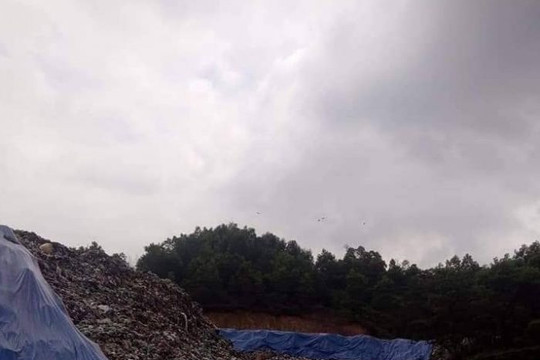 Quảng Ninh: Dân khốn khổ vì ruồi nhặng, mùi hôi từ dự án xử lý chất thải công ty Indevco