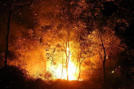 Hà Tĩnh: Đám cháy bùng phát trở lại, hàng trăm người thức trắng đêm dập lửa