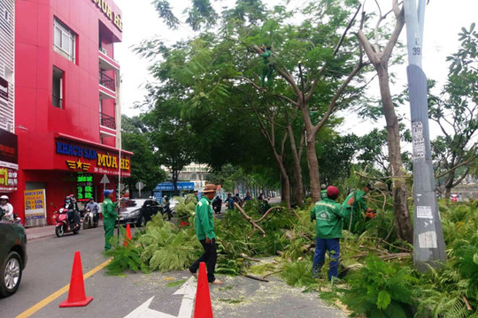 Hà Nội: Triển khai các biện pháp phòng ngừa các sự cố môi trường mùa mưa bão 2019
