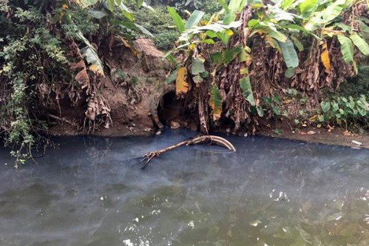 TP Hải Phòng: Nguồn nước sinh hoạt bị ô nhiễm trầm trọng