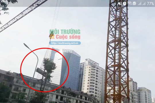 Thanh Xuân (Hà Nội) – Bài 2: Ai đang dung túng cho cẩu trục tháp tại dự án DLC Complex Nguyễn Tuân hoạt động không phép?