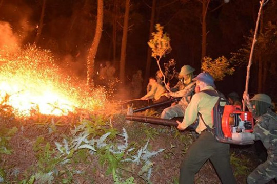 Hà Tĩnh: Tiếp tục xảy ra cháy rừng, hàng trăm người căng mình dập lửa trong đêm