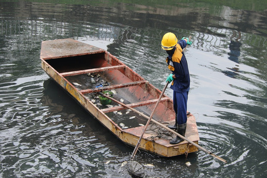 Công nhân môi trường hớt hả vớt cá chết trên sông Tô Lịch