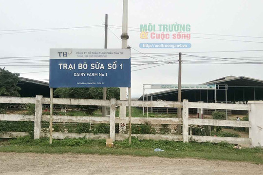 Nghệ An – Bài 3: Trang trại bò sữa TH True Milk tiếp tục gây ô nhiễm nặng nề, lãnh đạo tỉnh Nghệ An thờ ơ