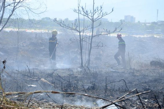 Đà Nẵng: Kịp thời khống chế đám cháy lan rộng trên núi Sơn Trà