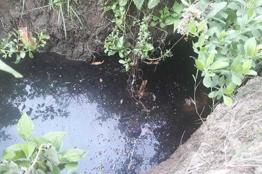 TP Cà Mau: Người dân bất an vì nguồn nước ô nhiễm rỉ từ Nhà máy xử lý rác