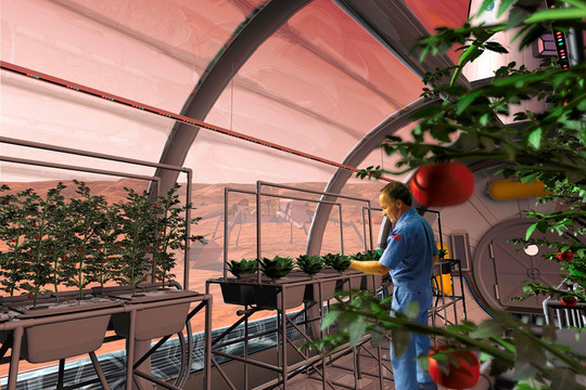 Phát minh mới để giúp trồng cây trên sao Hỏa