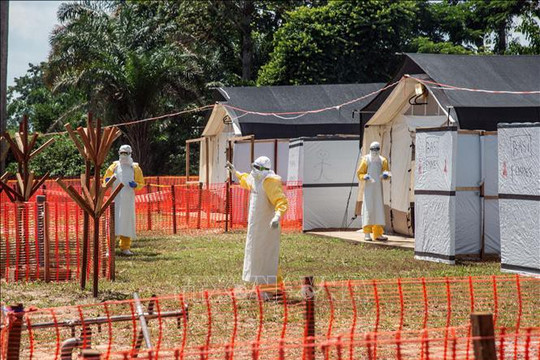 WHO tuyên bố dịch Ebola là vấn đề y tế khẩn cấp toàn cầu