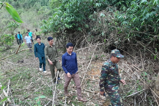 Tuần tra song phương bảo vệ rừng biên giới Việt Nam – Lào