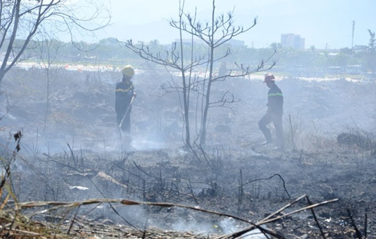 Đà Nẵng: Cảnh báo nguy cơ cháy rừng lên đến cấp “Rất nguy hiểm”