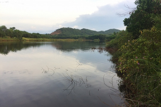 Thừa Thiên Huế – Nguyên nhân nước sông Tả Trạch bất ngờ chuyển sang màu đỏ