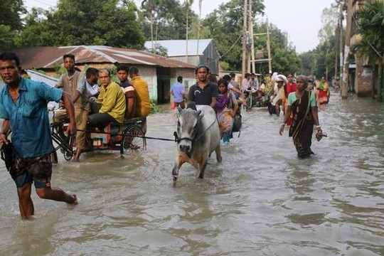 30 người chết, hàng trăm nghìn người phải sơ tán vì lũ lụt ở Bangladesh