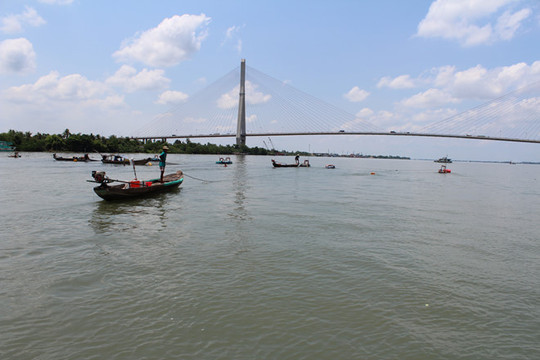 Nước sông Mekong thấp kỷ lục đe dọa đến ĐBSCL