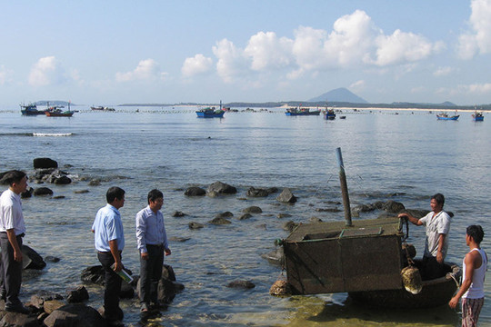 Phú Yên: Bảo vệ hệ sinh thái vùng biển ven bờ