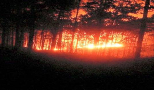 Quảng Trị: Cháy hơn 20 ha rừng thông, hàng trăm người dập lửa trong đêm