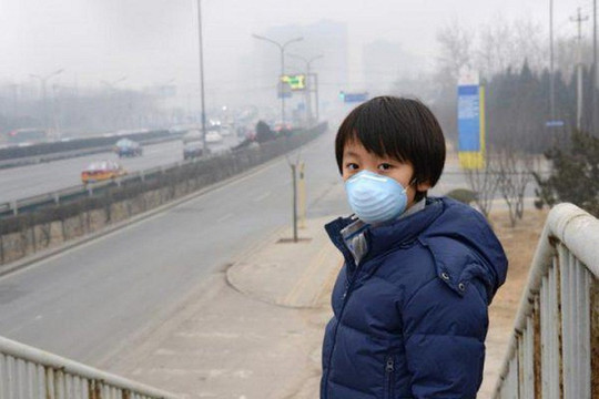 Ô nhiễm không khí có liên quan đến chỉ số IQ ở trẻ em