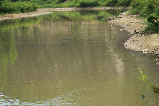 Nghệ An: Xử lý nghiêm vấn đề lấy nước ô nhiễm làm nước sạch
