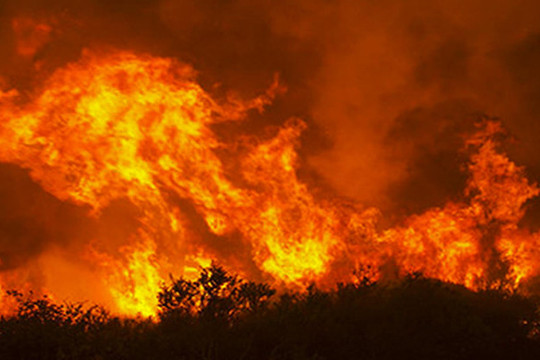 Bình Định: 10ha rừng phòng hộ bị lửa thiêu rụi sau 26 tiếng