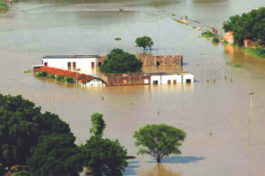 Lũ lụt tại miền Đông Ấn Độ cướp đi sinh mạng của gần 130 người