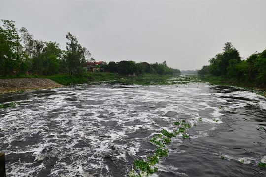 Phối hợp xử lý ô nhiễm lưu vực sông Nhuệ – sông Đáy