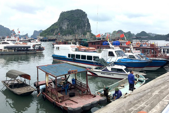 Hải Phòng, Quảng Ninh đồng loạt cấm biển trước nguy cơ bão số 3 đổ bộ