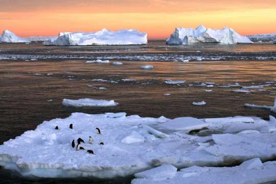 Nắng nóng kỷ lục ở châu Âu có thể gây tan băng Bắc Cực