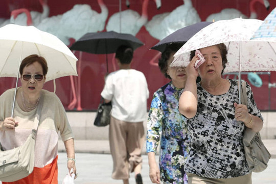 Gần 60 người chết, hơn 18.000 người nhập viện vì nắng nóng gay gắt ở Nhật