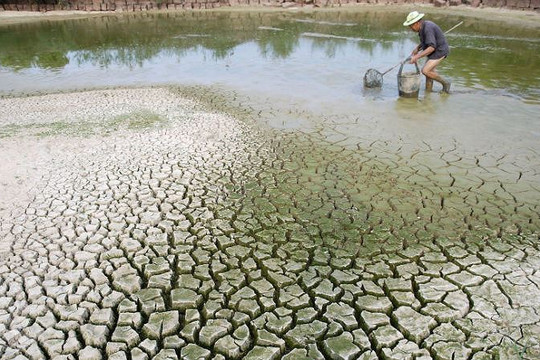 Biến đổi khí hậu đã ảnh hưởng nghiêm trọng đến Việt Nam như thế nào?