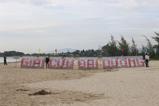 Đà Nẵng: Hơn 800 người ra quân tại sự kiện “Giải cứu Đại Dương”