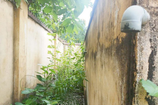 Bình Định: Dân khát nước sạch bên công trình tiền tỷ bỏ hoang
