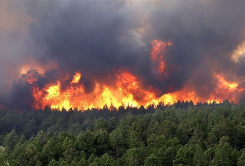 Trung bộ nắng nóng gay gắt diện rộng, cảnh báo nguy cơ cao xảy ra cháy rừng