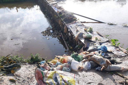 Rác thải chảy từ Thái Nguyên về Bắc Giang chưa được giải quyết, cả đoạn kênh Trôi bốc mùi lợn chết