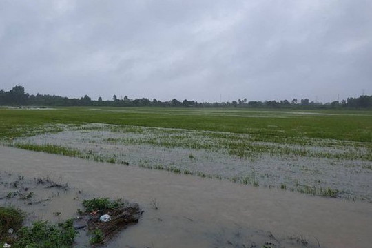 Tây Nguyên: Tập trung khắc phục hậu quả sau mưa lũ