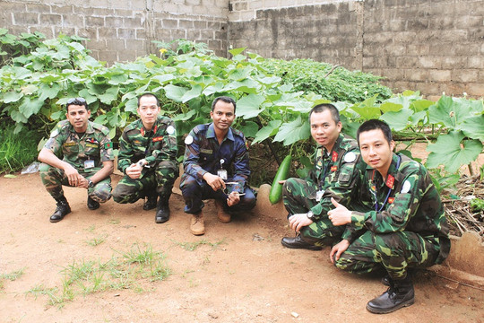 Bộ đội Việt Nam “phủ xanh” đất cằn ở Nam Sudan