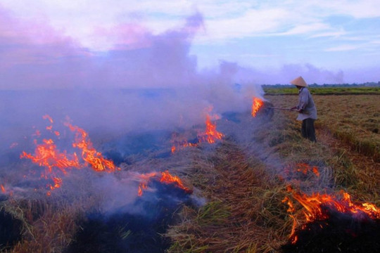 Thừa Thiên Huế: Hạn chế tình trạng đốt rơm rạ gây ô nhiễm môi trường