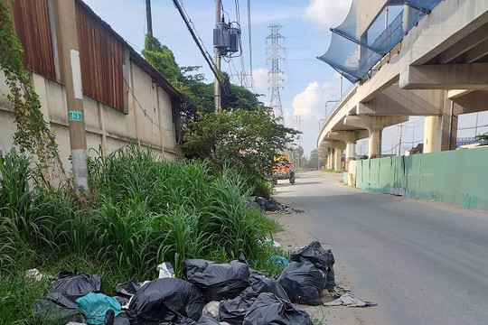 TP. Hồ Chí Minh: Bức xúc vì rác thải ngổn ngang bên vệ đường