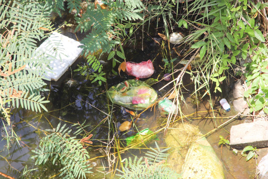 Quảng Bình: Sông Kiến Giang bị ô nhiễm bởi rác thải sinh hoạt