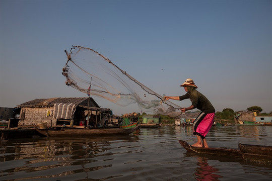 Nghề cá sông Mê Kông trước nguy cơ ‘tuyệt chủng’