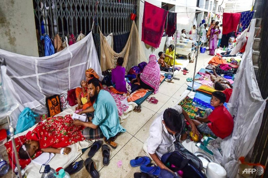 Bangladesh: Dịch sốt xuất huyết có số ca tăng gấp 5,7 lần
