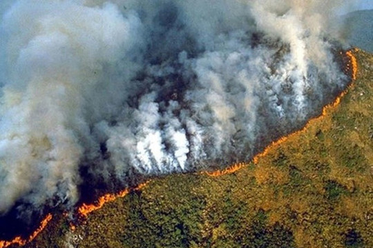 Amazon – ‘Lá phổi xanh’ của hành tinh đang bốc cháy