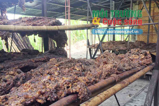 Huyện Tân Kỳ (Nghệ An): Yêu cầu di dời Xưởng chế biến mủ cao su gây ô nhiễm ra khỏi khu dân cư