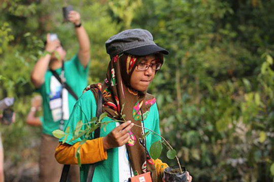 Philippines: Dự luật mới, yêu cầu sinh viên trồng ít nhất 10 cây xanh trước tốt nghiệp