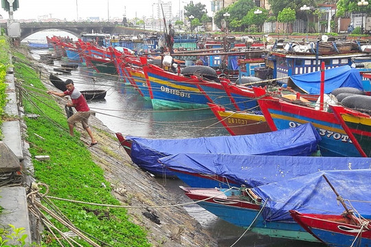 Quảng Bình: Ngư dân hối hả bảo vệ tài sản trước cơn bão Podul