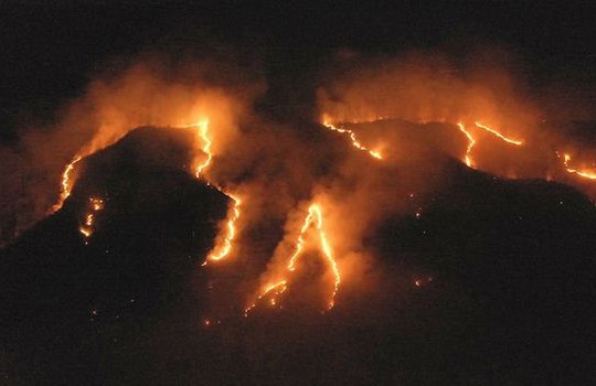 Cháy rừng Amazon có thể ảnh hưởng tới nhiệt độ toàn cầu