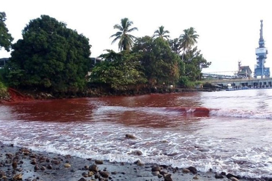 Papua New Guinea: Hàng trăm nghìn lít bùn độc hại tràn ra biển