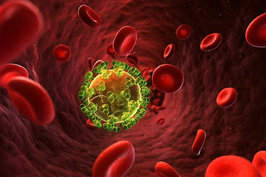 Tây Ban Nha: Phát hiện thêm đột biến gene liên quan đến khả năng kháng HIV