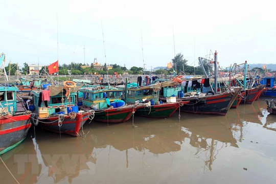 Đà Nẵng: Nghiêm cấm tàu thuyền ra khơi, yêu cầu đảm bảo an toàn trường lớp