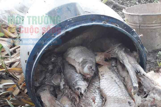 Hoài Đức (Hà Nội): Người dân “tố” Điểm công nghiệp Di Trạch xả thải gây chết cá