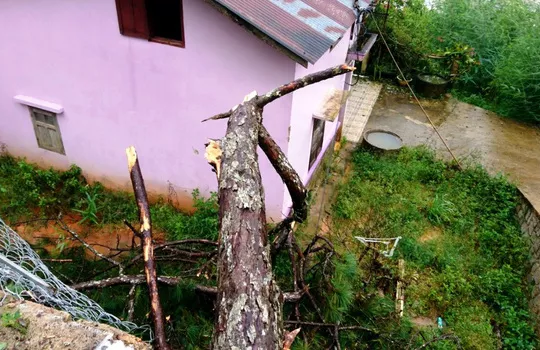 Lâm Đồng: Mưa lớn khiến nhiều cây gãy đổ, nhà bị tốc mái, ngập lụt la liệt